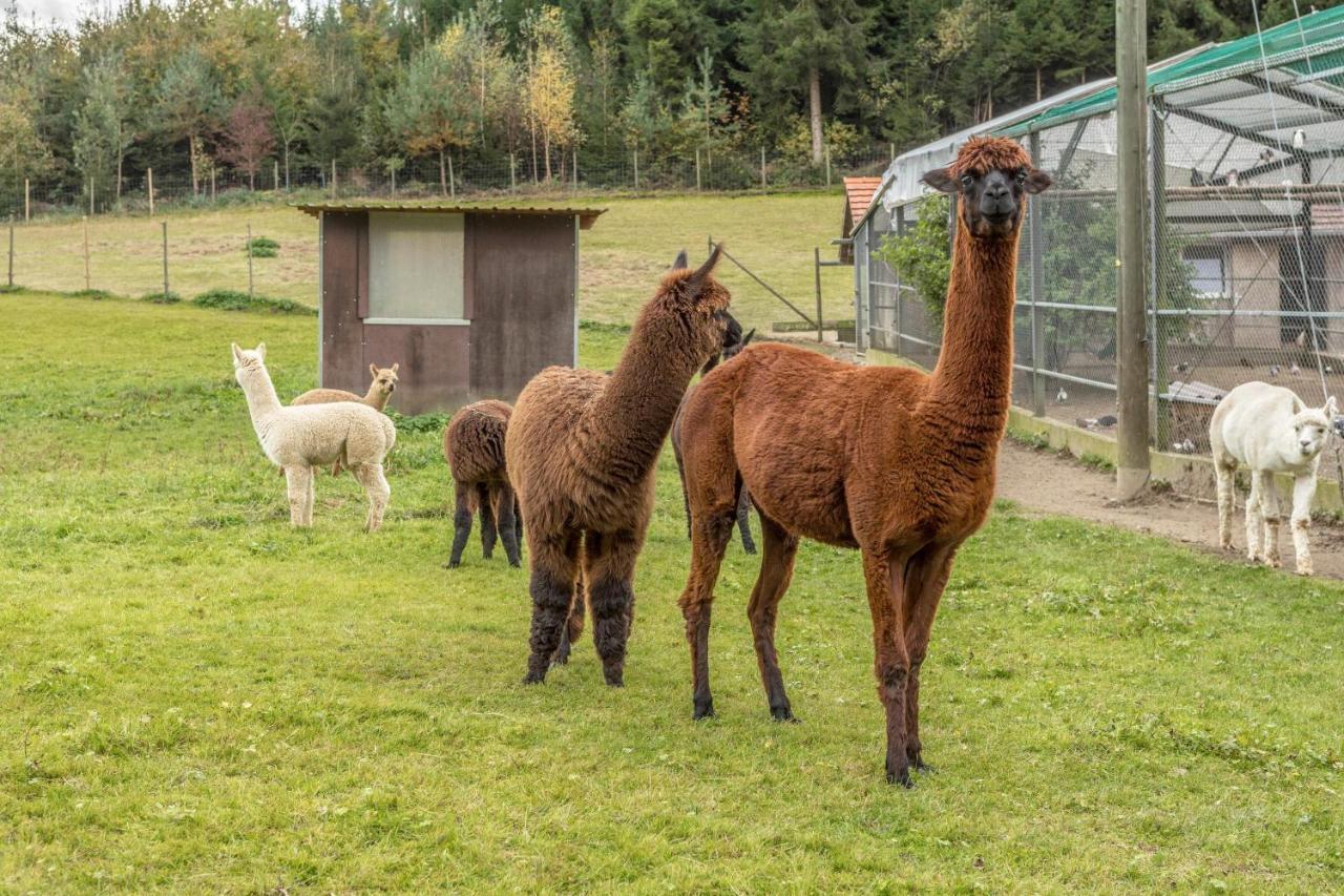 Ferienwohnung Zapfs Bauernhof Stiefmütterchen Tettnang Exterior foto